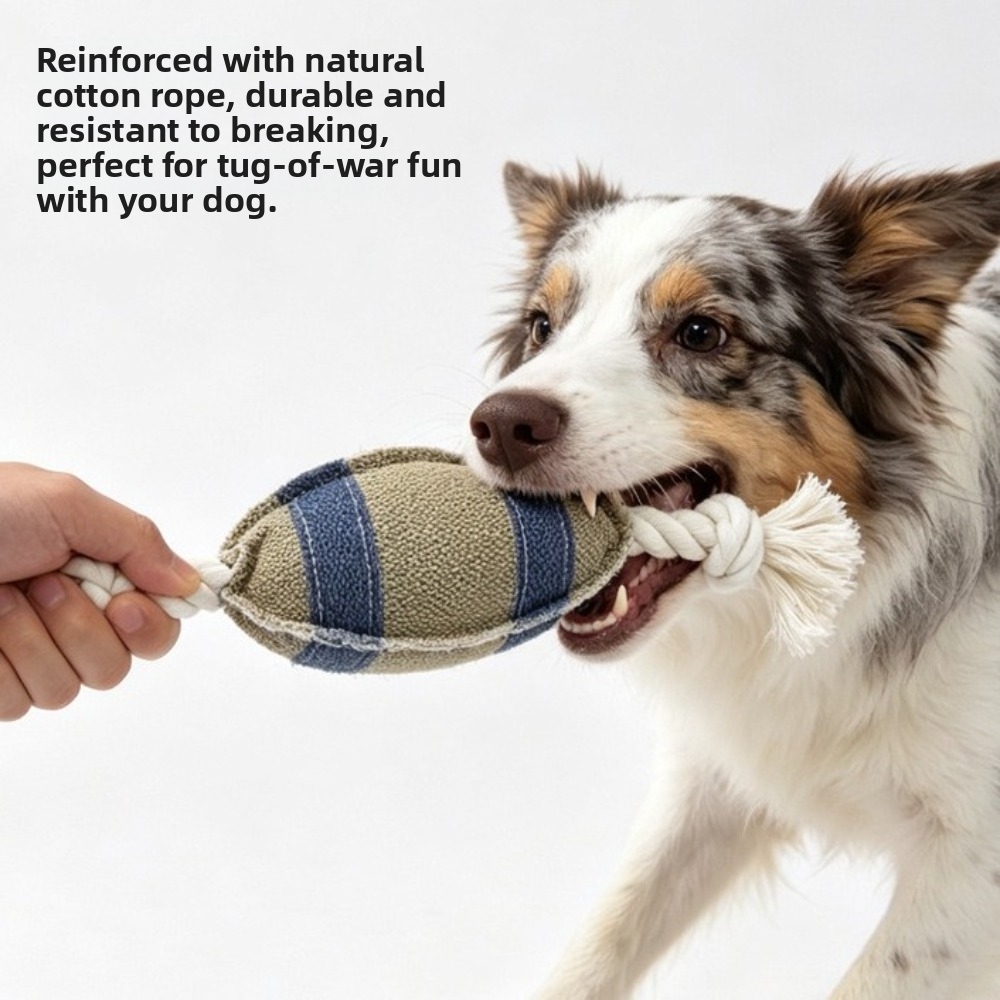 Bissfester Hunde-Kauknochen in – Rugby Training Ball Bewertung und Preis